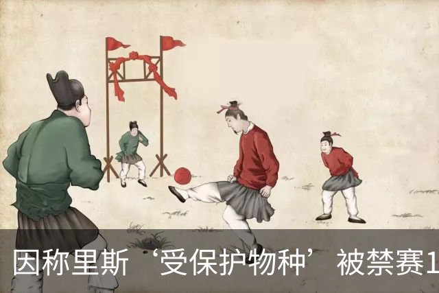 因称里斯‘受保护物种’被禁赛1场，前NBA球星怒批：该禁2场，她是在叫我们动物
